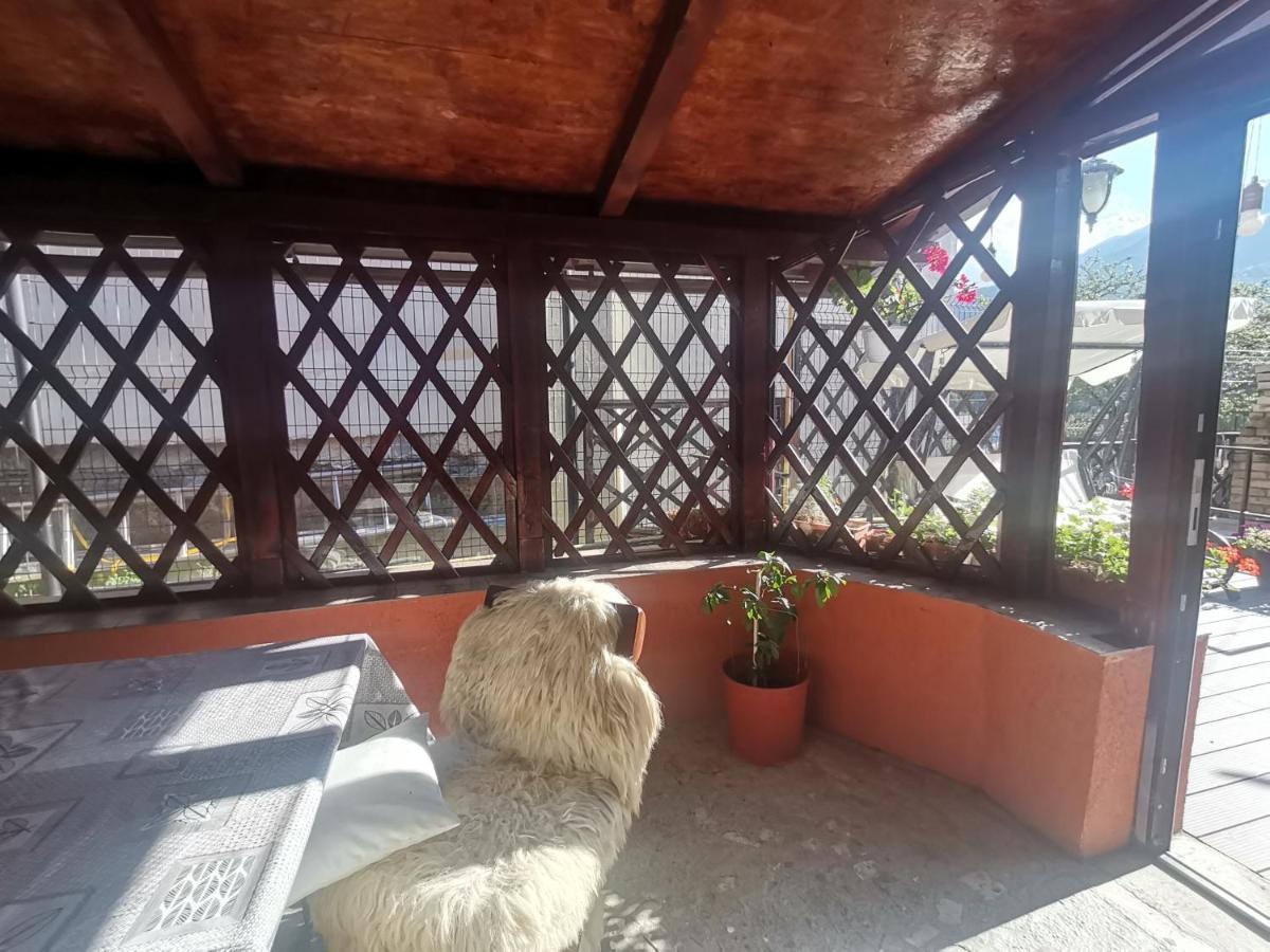 Casa Dixi Buşteni Exterior foto