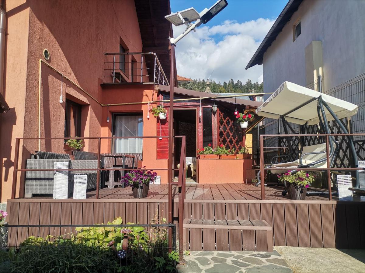 Casa Dixi Buşteni Exterior foto