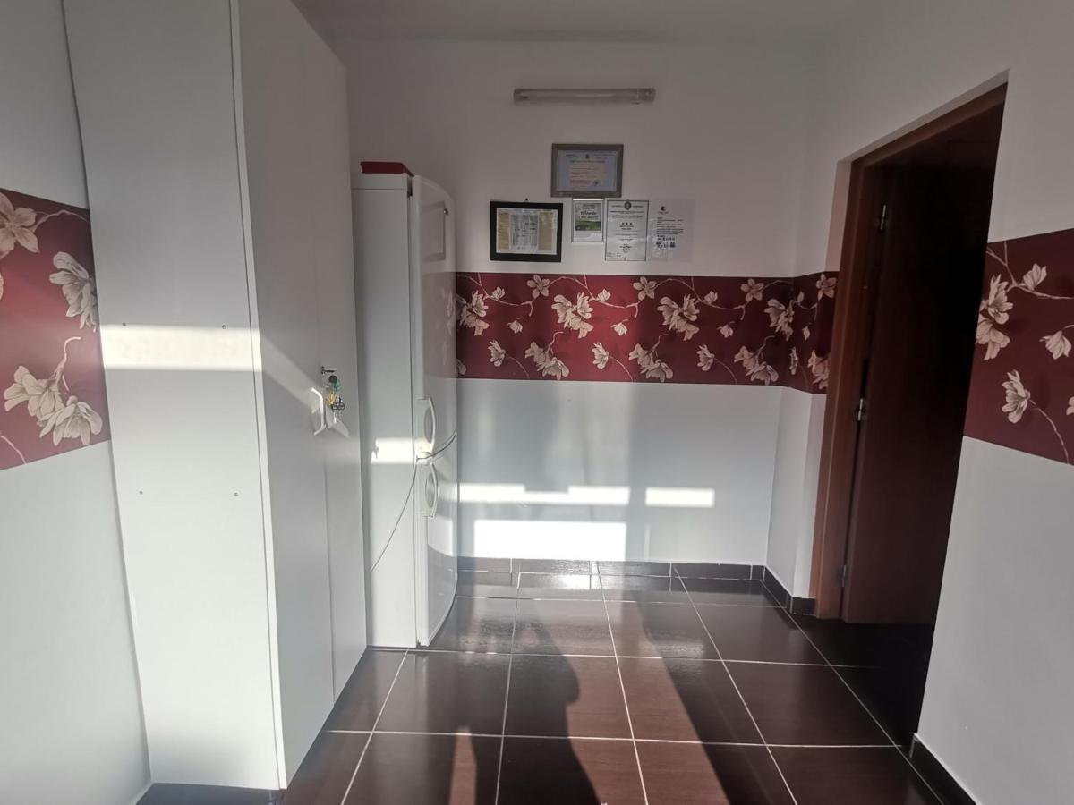 Casa Dixi Buşteni Exterior foto